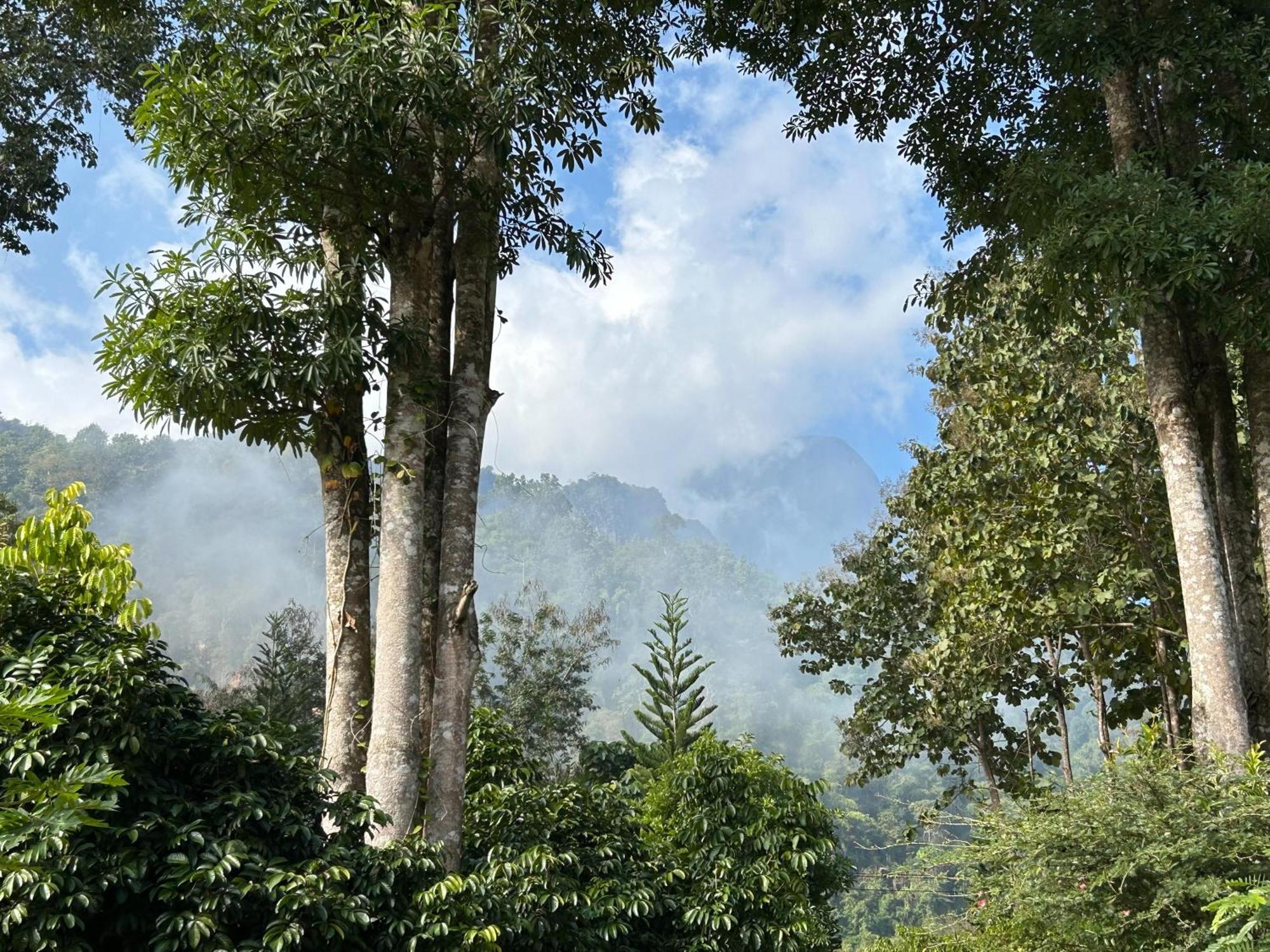 At Home Chiang Dao, Pooch Lovers Ban Tham  ภายนอก รูปภาพ